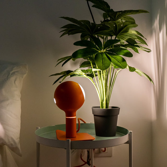 Lampade da tavolo complete